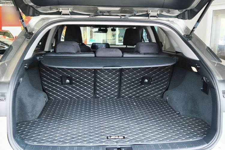 Used Lexus RX 2020 300 Two-Wheel Drive Elite Edition China VI Standard Trunk