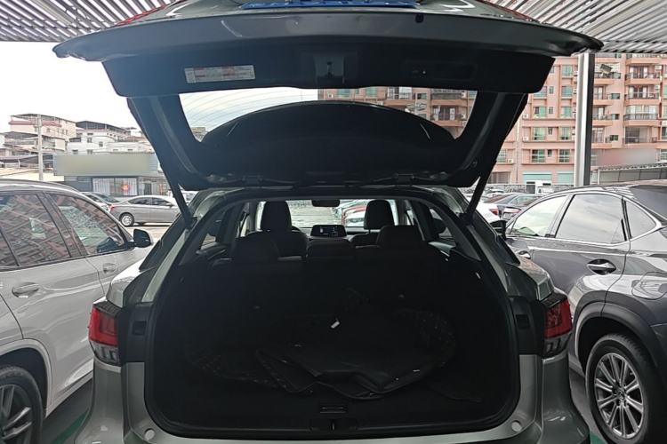 Used Lexus RX 2020 Facelifted 300 4x4 Elegant Edition Trunk