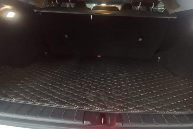 Used Lexus RX 2020 Revised Version 450h Four-Wheel Drive Elegant Edition Trunk