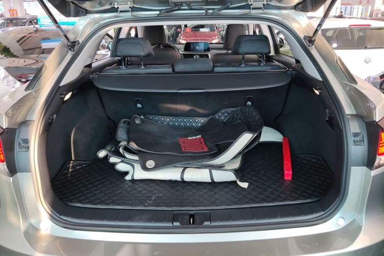Used Lexus RX 2020 Revised Version 300 Two-Wheel Drive Elite Edition Trunk