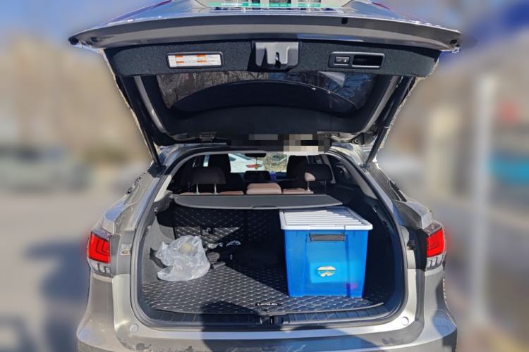 Used Lexus RX 2020 300 4x4 Elegant Edition China VI Trunk