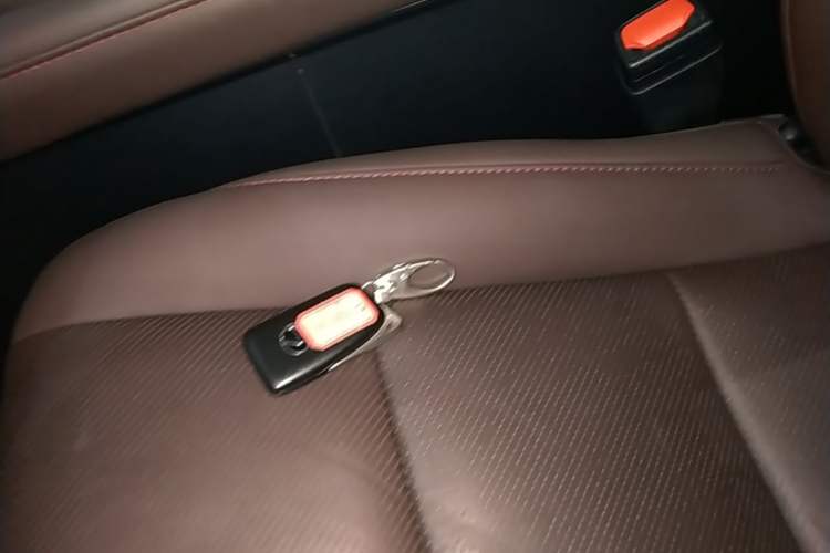 Used Lexus RX 2020 Revised Version 300 Two-Wheel Drive Comfort Edition Vehicle Key