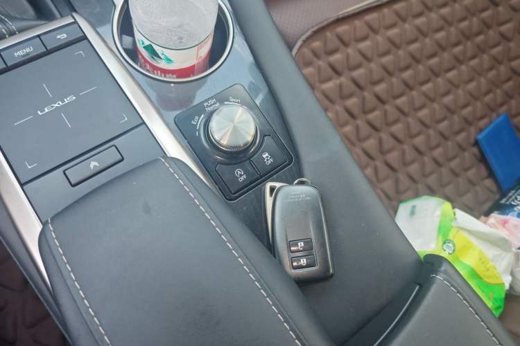 Used Lexus RX 2020 300 Two-Wheel Drive Elite Edition China VI Standard Vehicle Key