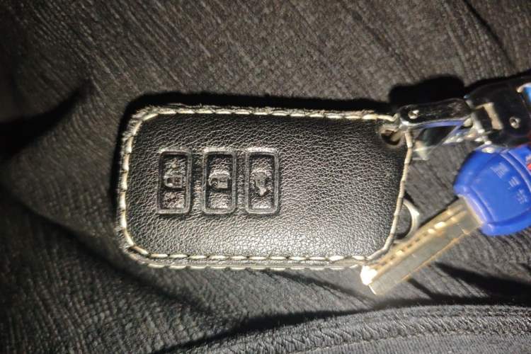 Used Lexus RX 2020 Facelifted 300 4x4 Elegant Edition Vehicle Key