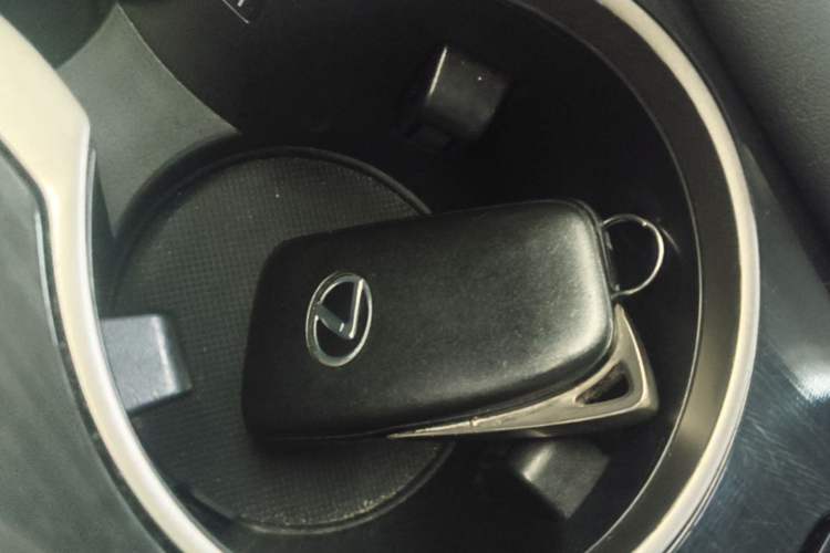Used Lexus RX 2020 300 Two-Wheel Drive Elite Edition China VI Standard Vehicle Key