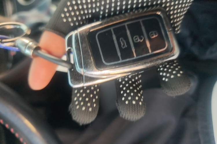 Used Lexus RX 2020 450h Four-Wheel Drive Elegant Edition China VI Standard Vehicle Key