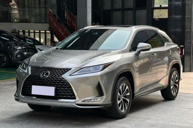 Used Lexus RX 2020 Revised Version 300 Two-Wheel Drive Elite Edition