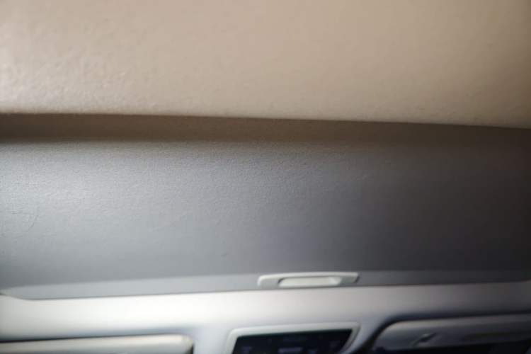 Used Lexus RX 2020 Revised Version 300 Two-Wheel Drive Comfort Edition Headliner