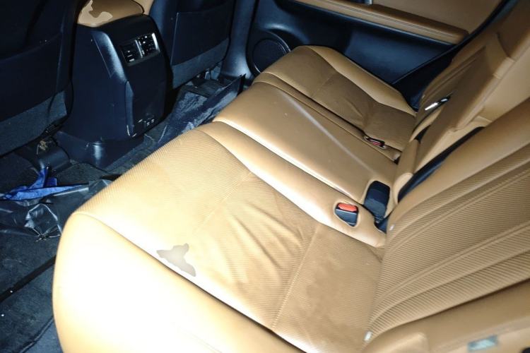Used Lexus RX 2020 Revised Version 300 Two-Wheel Drive Comfort Edition Left Rear Seat