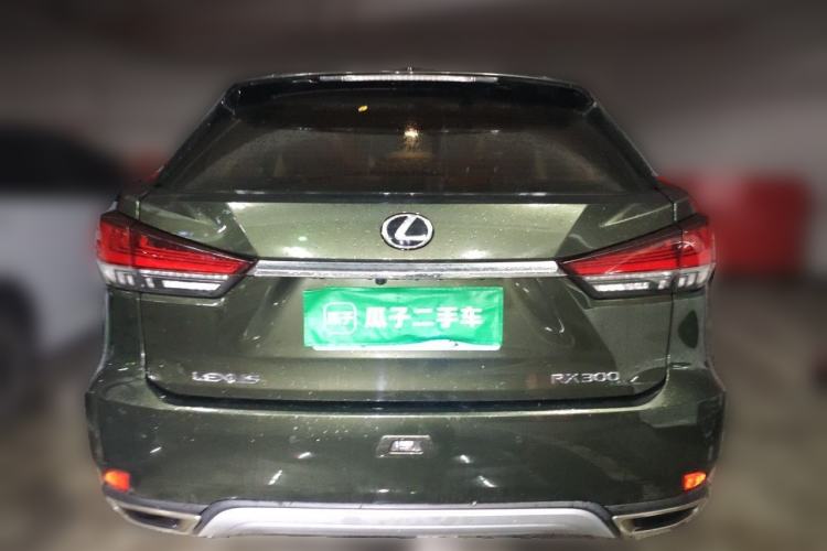Used Lexus RX 2020 Revised Version 300 Two-Wheel Drive Comfort Edition Rear