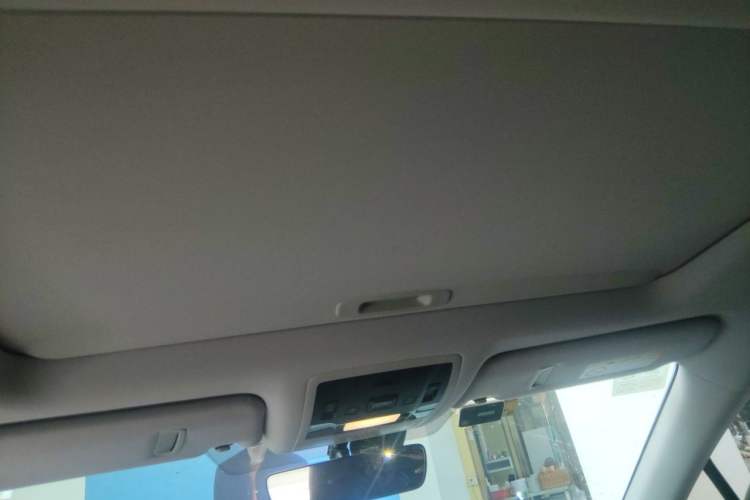 Used Lexus RX 2020 Revised Version 300 Two-Wheel Drive Elite Edition Headliner