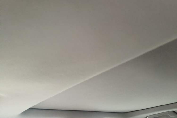 Used Lexus RX 2020 Facelifted 300 4x4 Elegant Edition Headliner
