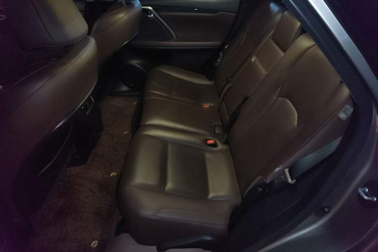 Used Lexus RX 2020 Revised Version 300 Two-Wheel Drive Comfort Edition Left Rear Seat