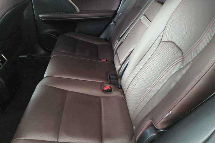 Used Lexus RX 2020 Facelifted 300 4x4 Elegant Edition Left Rear Seat
