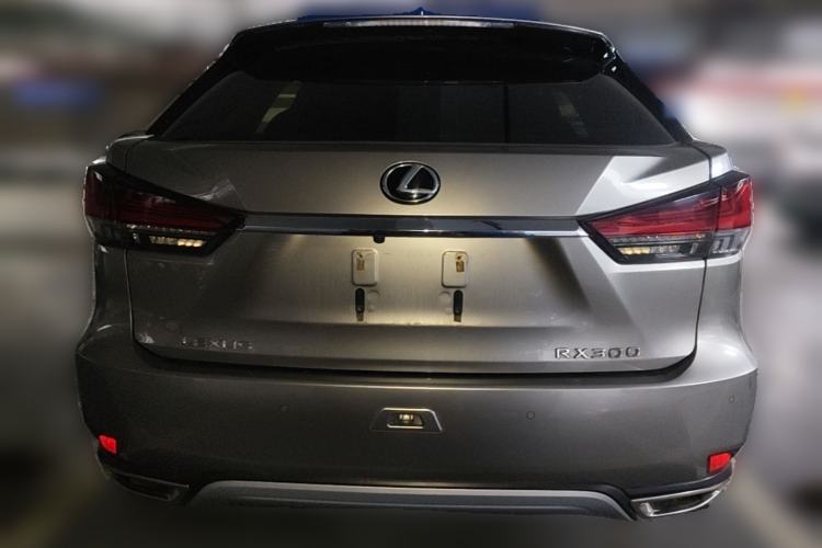 Used Lexus RX 2020 Revised Version 300 Two-Wheel Drive Comfort Edition Rear