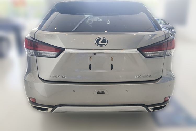 Used Lexus RX 2020 Facelifted 300 4x4 Elegant Edition Rear
