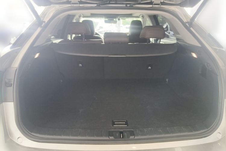 Used Lexus RX 2020 Facelifted 300 4x4 Elegant Edition Trunk