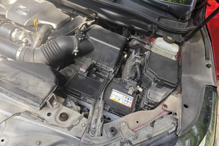 Used Lexus RX 2020 300 Two-Wheel Drive Comfort Edition China VI Standard Engine Bay Left