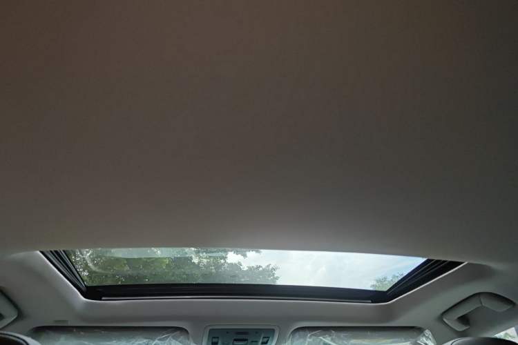 Used Lexus RX 2020 300 Two-Wheel Drive Comfort Edition China VI Standard Headliner