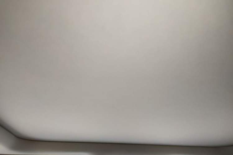 Used Lexus RX 2020 300 4x4 Elegant Edition China VI Headliner