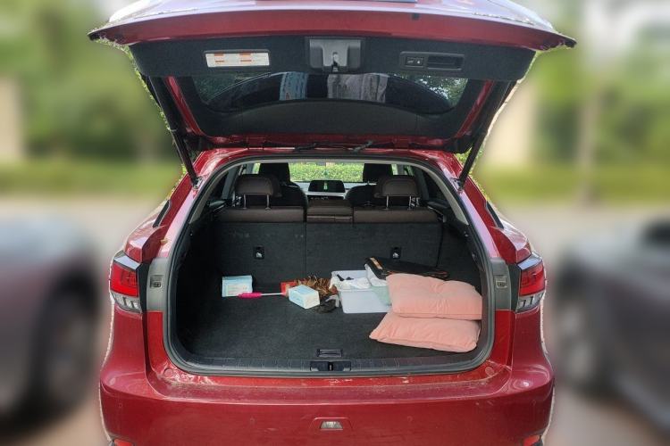 Used Lexus RX 2020 300 4x4 Elegant Edition China VI Trunk