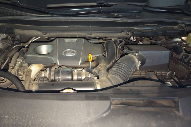 Used Lexus RX 2020 300 Two-Wheel Drive Elite Edition China VI Standard Engine Bay