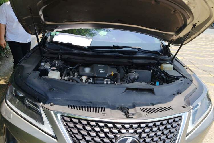 Used Lexus RX 2020 Revised Version 300 Two-Wheel Drive Elite Edition Engine Bay