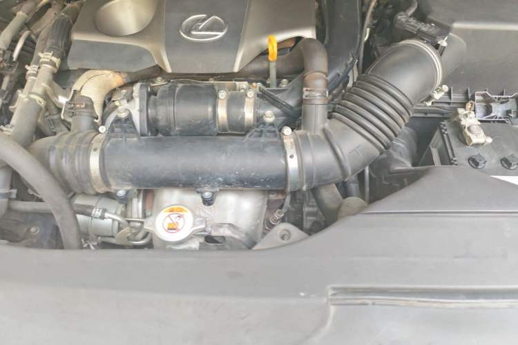 Used Lexus RX 2020 Facelifted 300 4x4 Elegant Edition Engine Bay