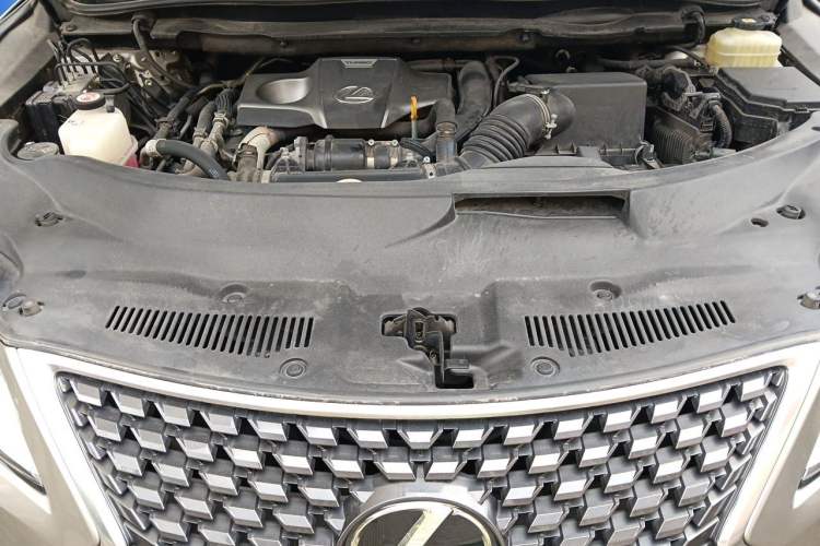 Used Lexus RX 2020 Revised Version 300 Two-Wheel Drive Comfort Edition Engine Bay