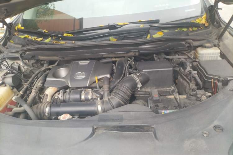 Used Lexus RX 2020 300 4x4 Elegant Edition China VI Engine Bay