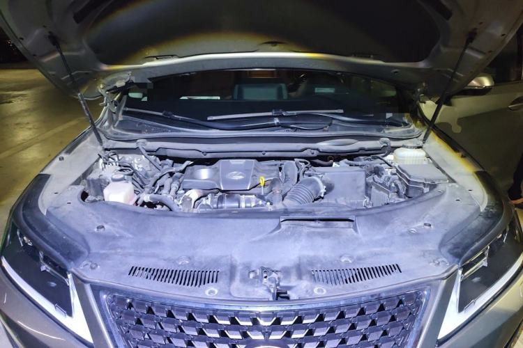 Used Lexus RX 2020 300 Two-Wheel Drive Elite Edition China VI Standard Engine Bay