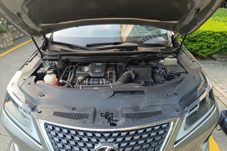 Used Lexus RX 2020 300 Two-Wheel Drive Elite Edition China VI Standard Engine Bay