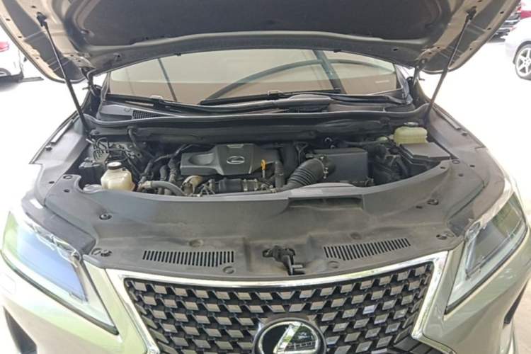 Used Lexus RX 2020 300 4x4 Elegant Edition China VI Engine Bay