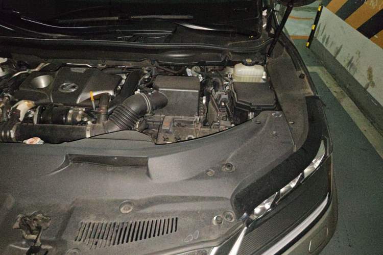 Used Lexus RX 2020 Facelifted 300 4x4 Elegant Edition Engine Bay Left
