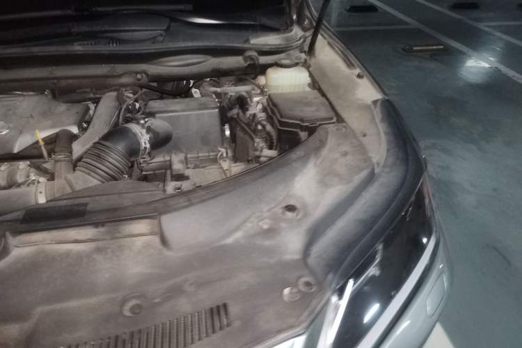 Used Lexus RX 2020 300 Two-Wheel Drive Elite Edition China VI Standard Engine Bay Left