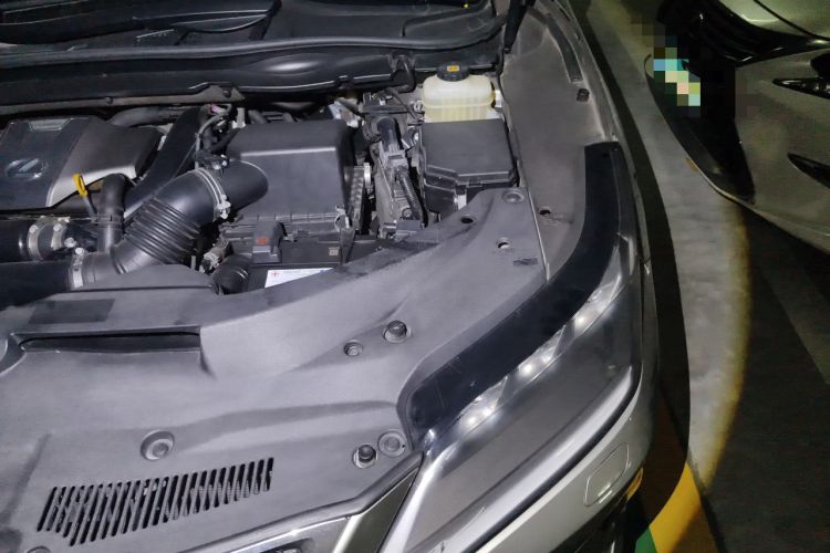 Used Lexus RX 2020 300 4x4 Elegant Edition China VI Engine Bay Left