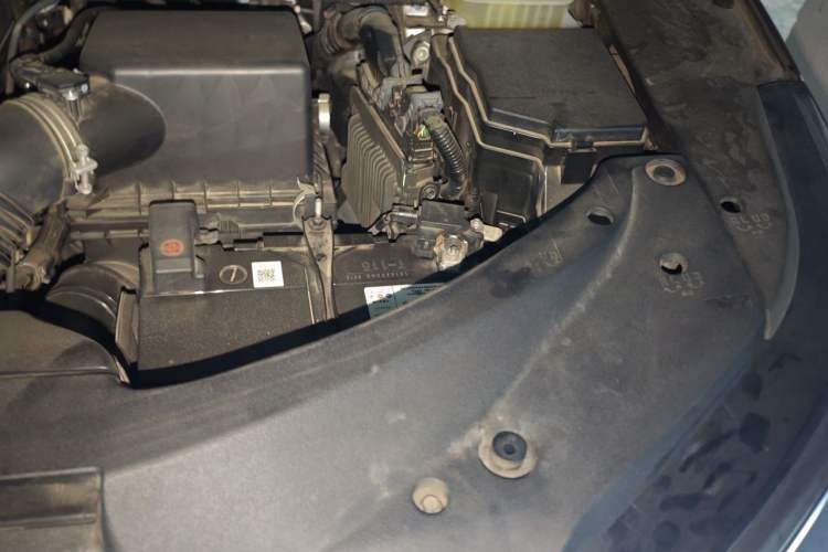 Used Lexus RX 2020 300 Two-Wheel Drive Elite Edition China VI Standard Engine Bay Left
