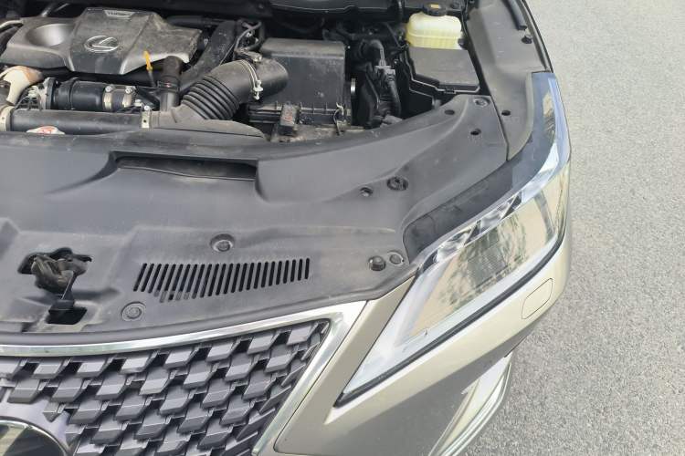 Used Lexus RX 2020 300 4x4 Elegant Edition China VI Engine Bay Left