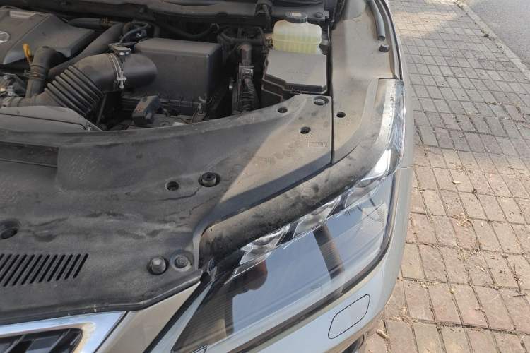 Used Lexus RX 2020 Facelifted 300 4x4 Elegant Edition Engine Bay Left