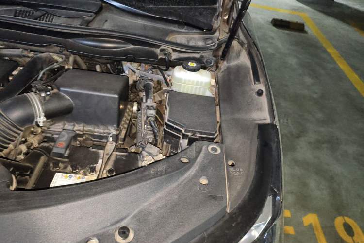 Used Lexus RX 2020 Facelifted 300 4x4 Elegant Edition Engine Bay Left