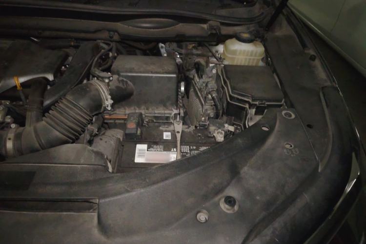 Used Lexus RX 2020 300 Launch Special Limited Edition China VI Standard Engine Bay Left
