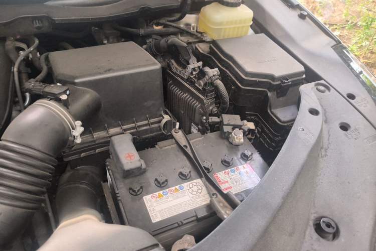 Used Lexus RX 2020 Revised Version 300 Two-Wheel Drive Elite Edition Engine Bay Left