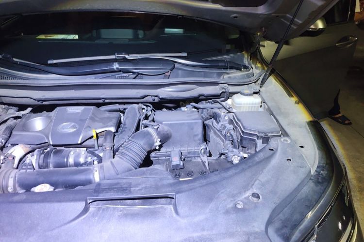 Used Lexus RX 2020 300 Two-Wheel Drive Elite Edition China VI Standard Engine Bay Left