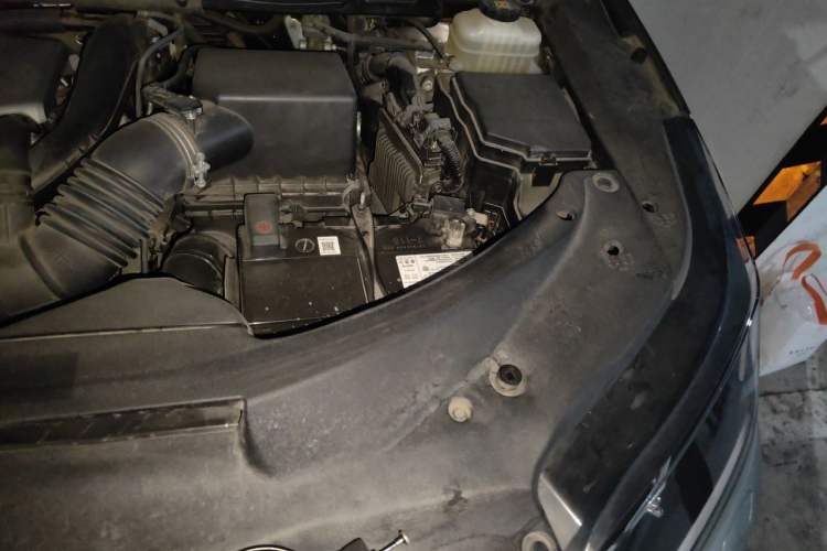 Used Lexus RX 2020 300 Two-Wheel Drive Elite Edition China VI Standard Engine Bay Left