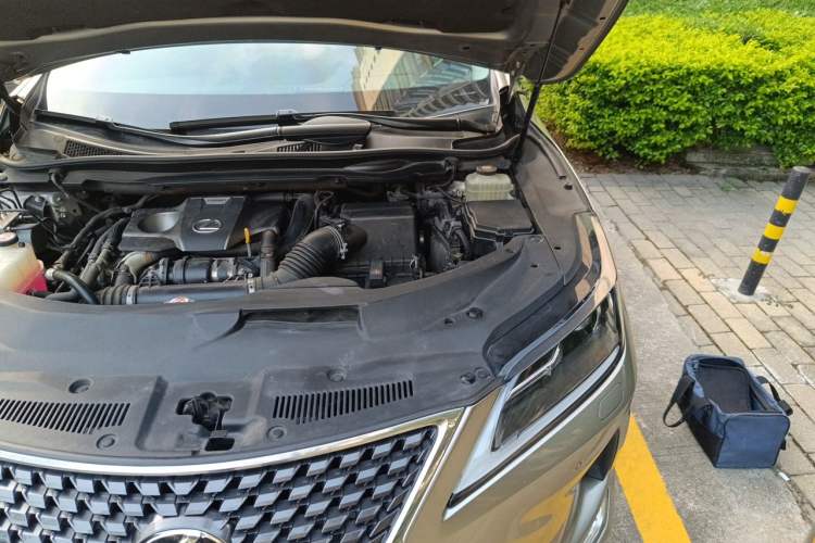 Used Lexus RX 2020 300 Two-Wheel Drive Elite Edition China VI Standard Engine Bay Left