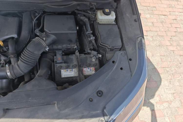 Used Lexus RX 2020 Revised Version 300 Two-Wheel Drive Elite Edition Engine Bay Left
