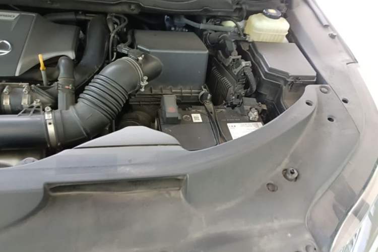 Used Lexus RX 2020 300 4x4 Elegant Edition China VI Engine Bay Left
