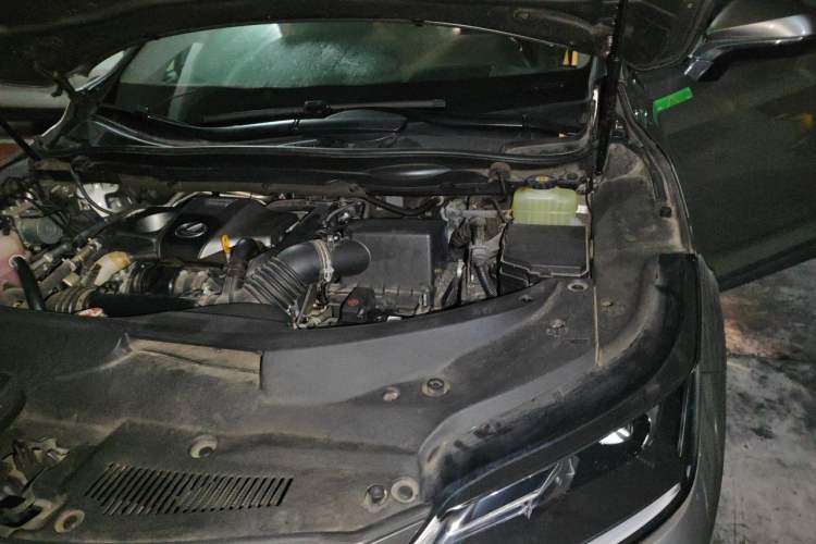 Used Lexus RX 2020 Revised Version 300 Two-Wheel Drive Elite Edition Engine Bay Left