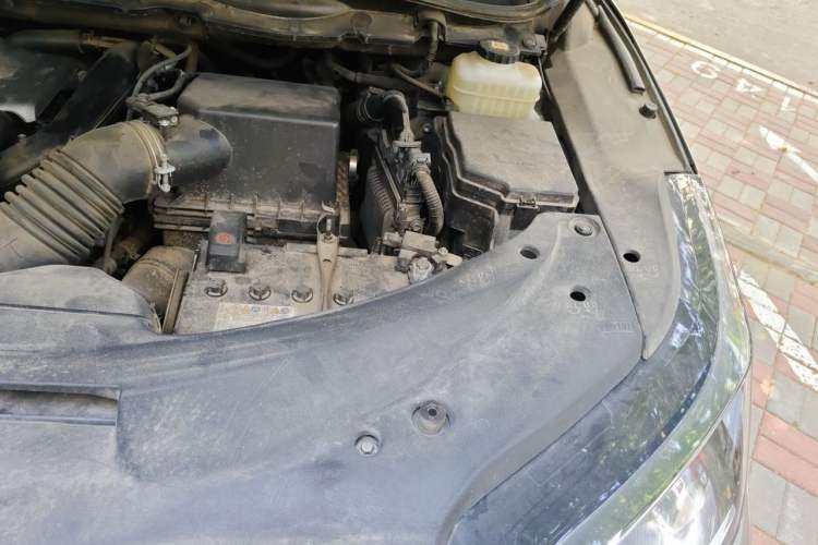Used Lexus RX 2020 Revised Version 300 Two-Wheel Drive Elite Edition Engine Bay Left
