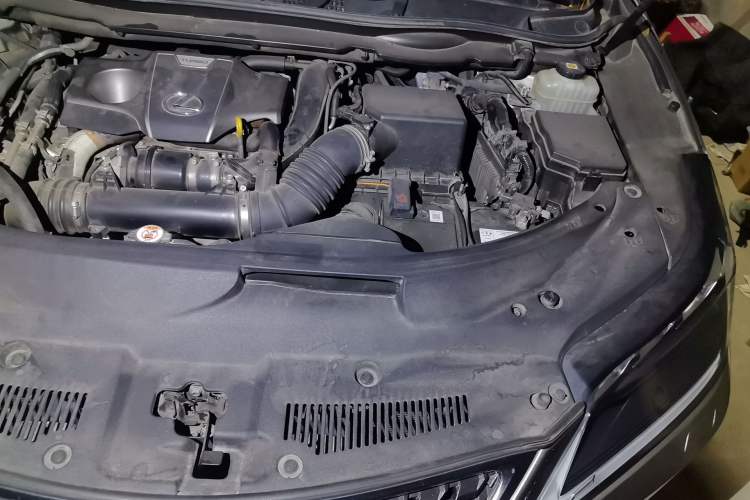 Used Lexus RX 2020 Facelifted 300 4x4 Elegant Edition Engine Bay Left